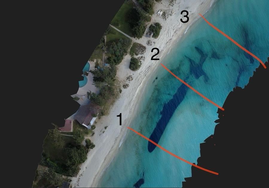 Orthophoto drone · Transects annotés
